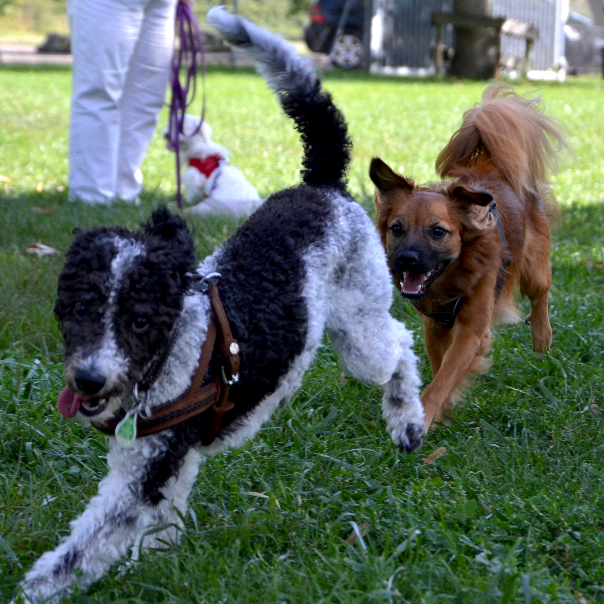 Kachel_Sozialisierung